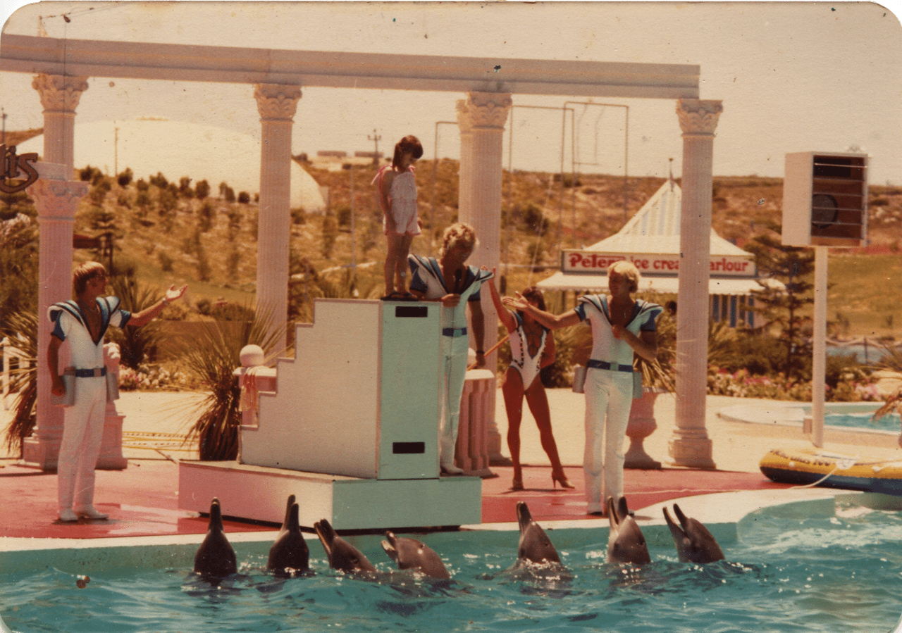 Atlantis dolphins in the 1980s