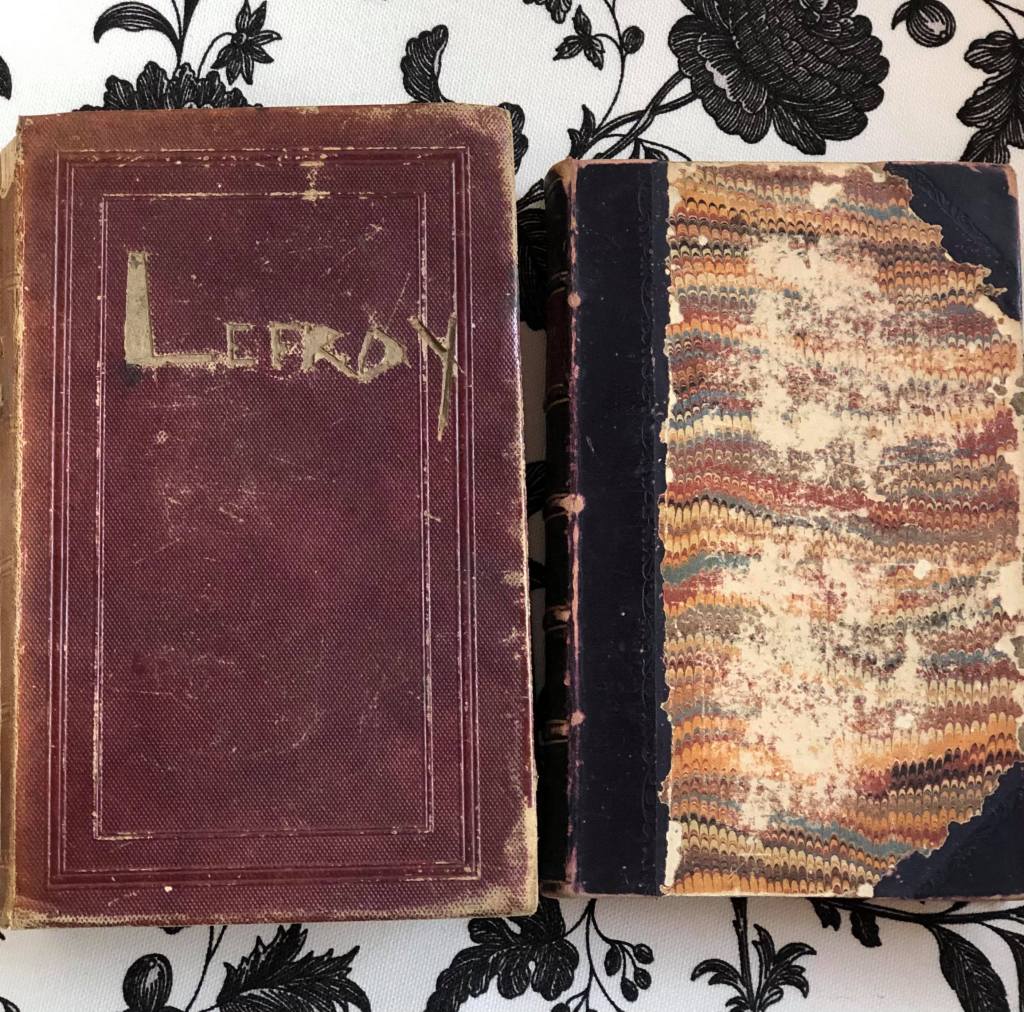 Image of two very old books, both worn and damaged. One has a marroon cloth/cardboard with the name Lefroy carved into it. The other has a black spine and corner pieces and a faded/grazed patterned cover. Owned by Annette (Bessie) Lefroy 1856-1896. 